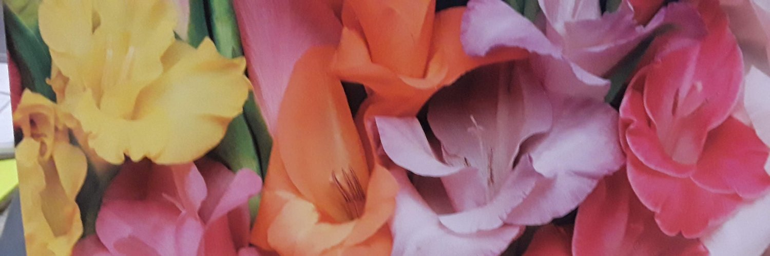 SHEdison's profile banner image