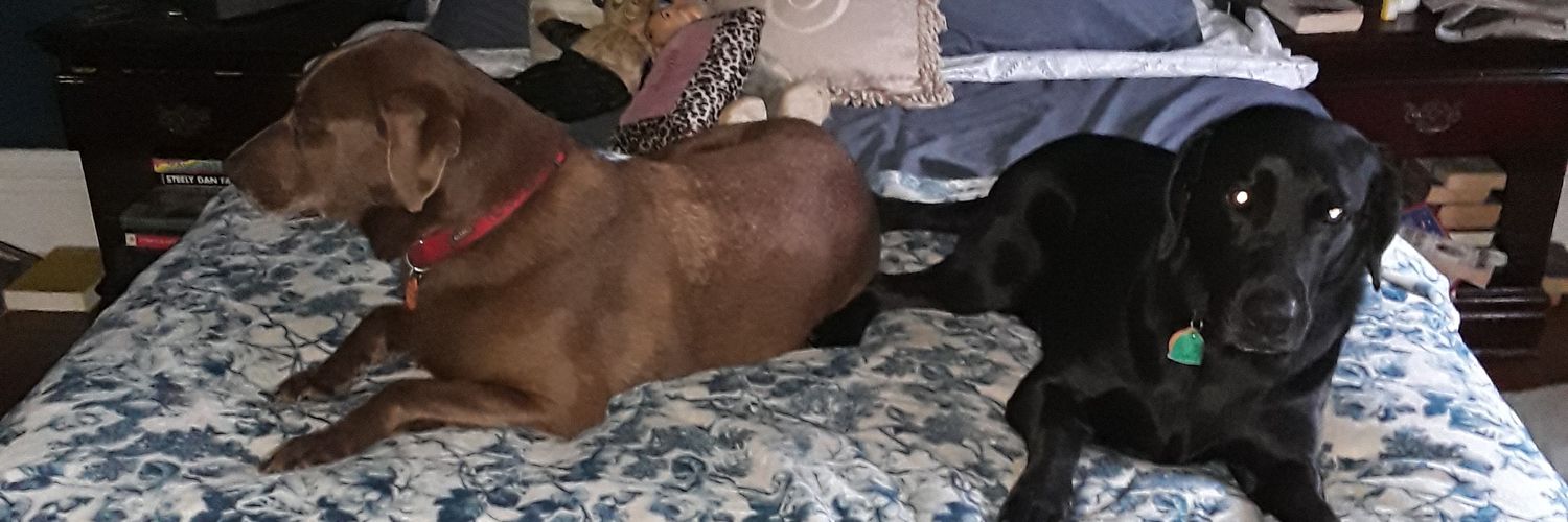 Elon Musks Mothers Prostrate banner