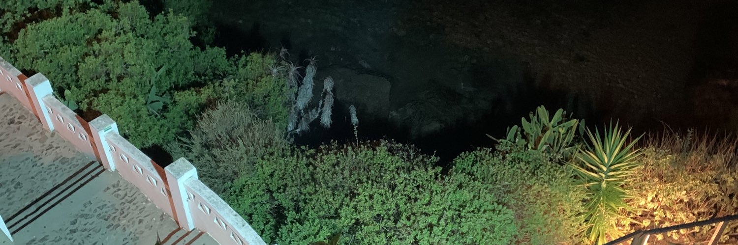 djiguiridjonson banner