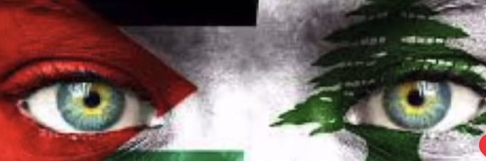Lilly Foz's banner