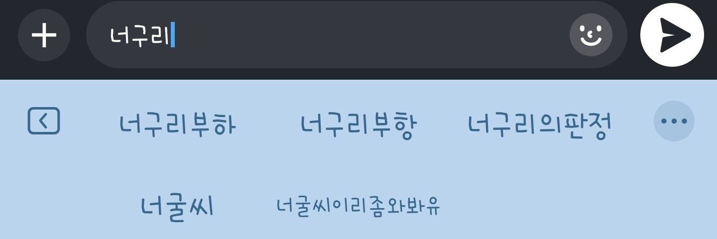 너구리부하's banner