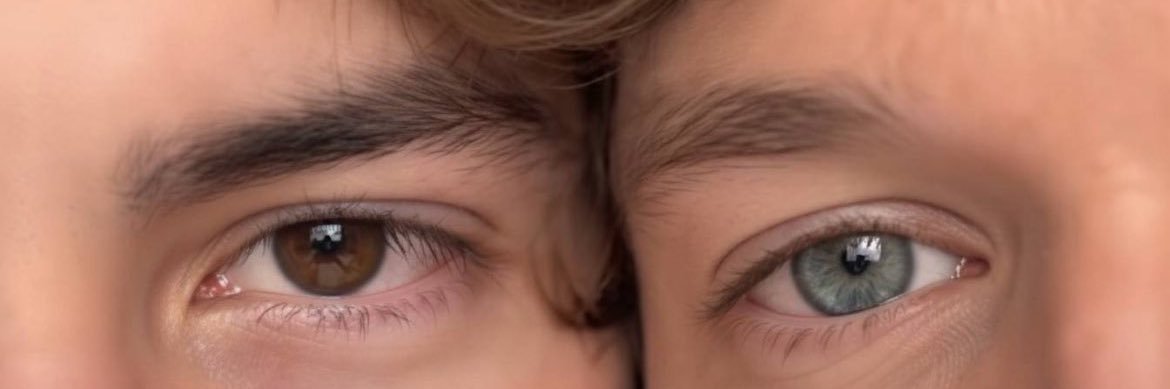 cindydcc's profile banner image