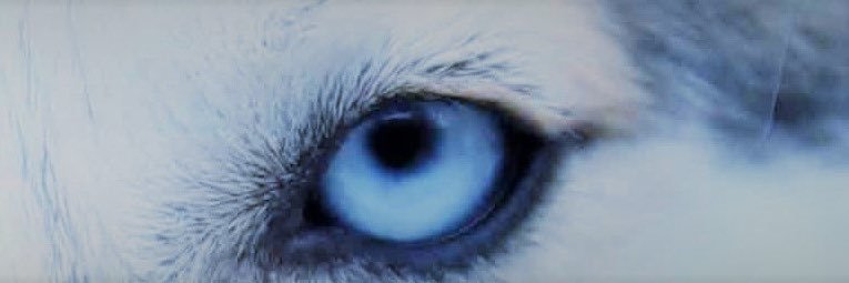 norsled's profile banner image