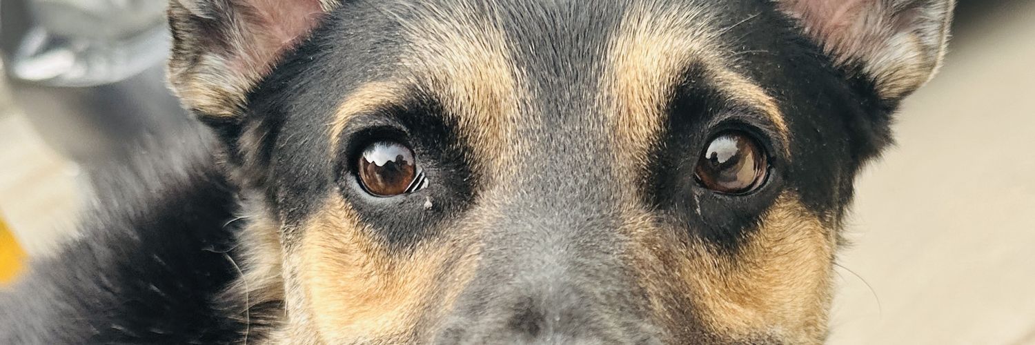ugottwizted's profile banner image