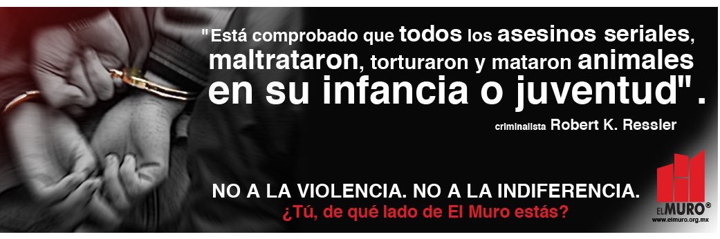 EL MURO A.C. banner