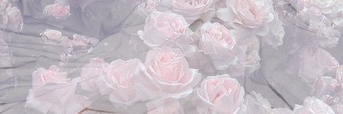 ꧁ 𝕄𝕒𝕣𝕚 ꧂'s banner