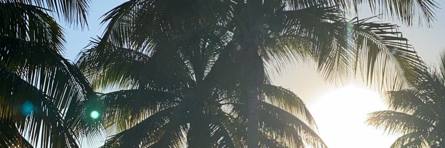 laurralicia's profile banner image