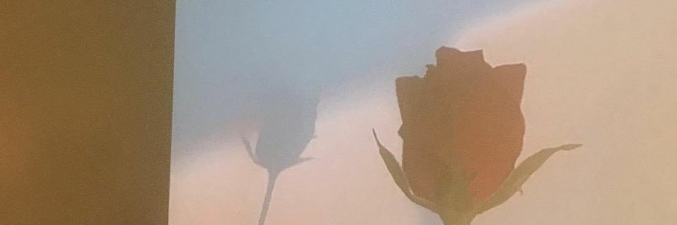 mami0342's profile banner image