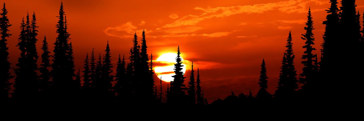 kingkumar2005's profile banner image