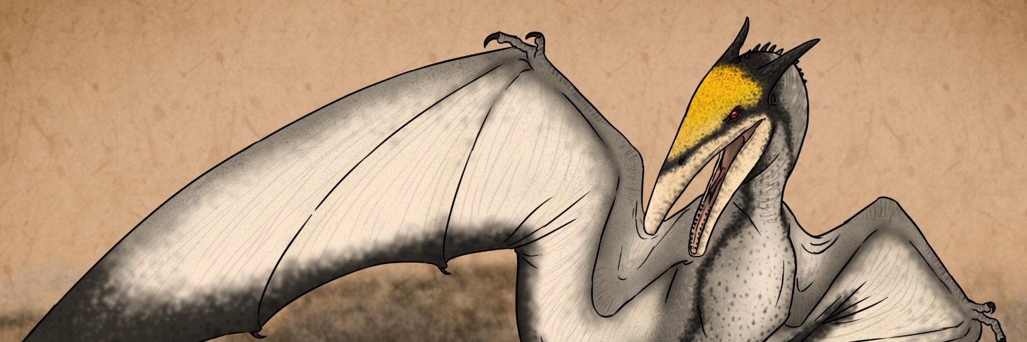 MarvMemento's profile banner image