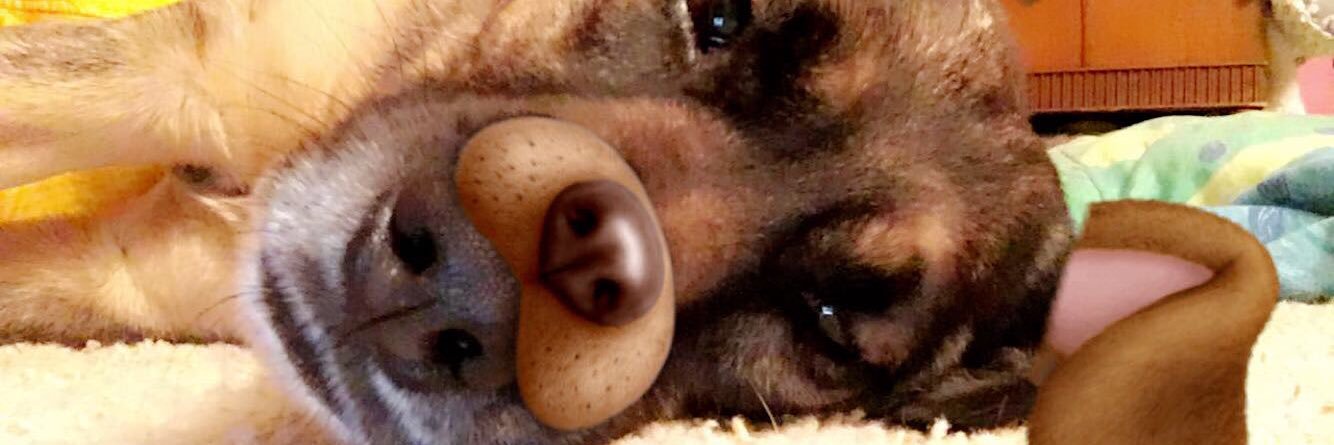 TaaylorHumphrey's profile banner image
