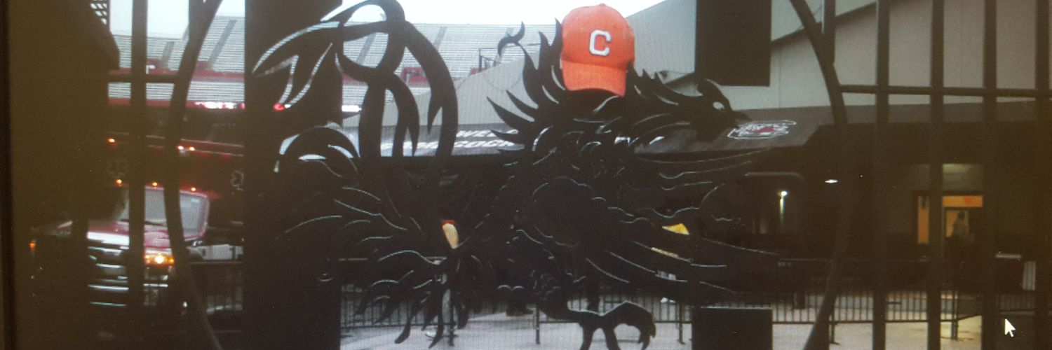 clemsontag's profile banner image