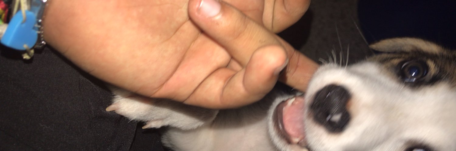 GusMartiinez's profile banner image