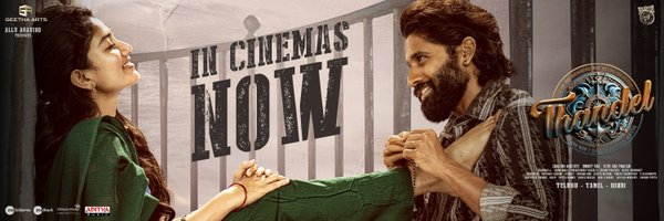 TheBunnyVas Profile Banner