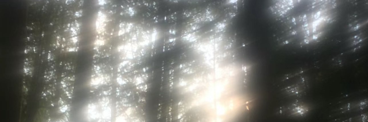 - ˕ - banner