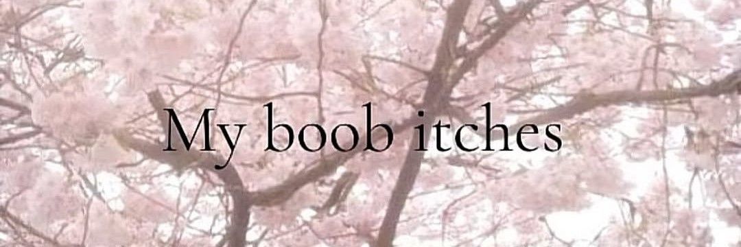 ˚₊‧꒰ა al☆e ໒꒱ ‧₊˚ banner