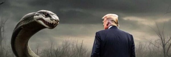 JasonWebst77454 Profile Banner