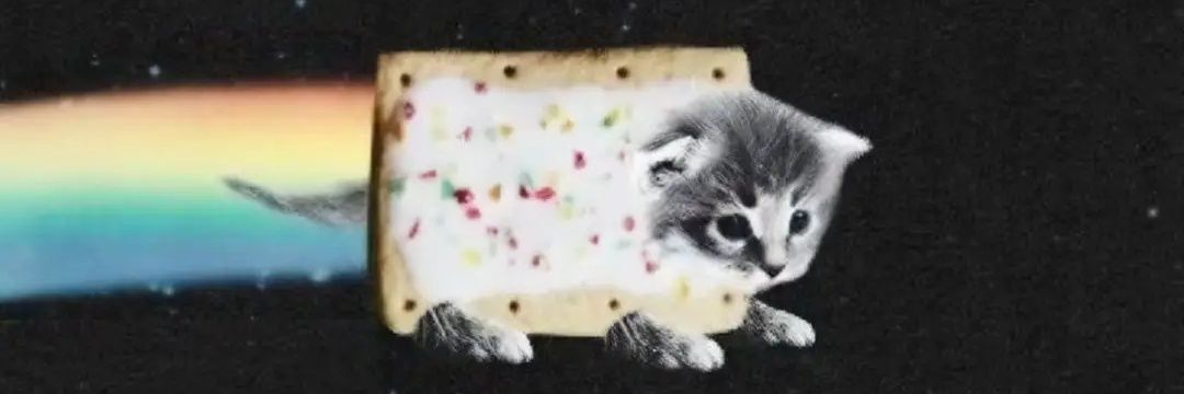 Katenbka9 banner