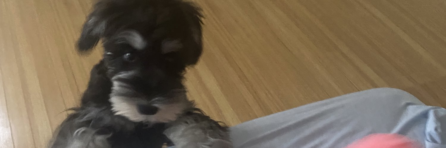 えんじ🐶's banner