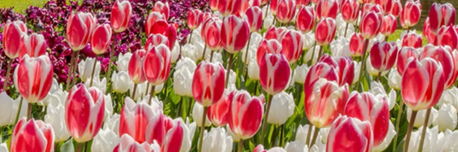 Wonderful life 💗 banner