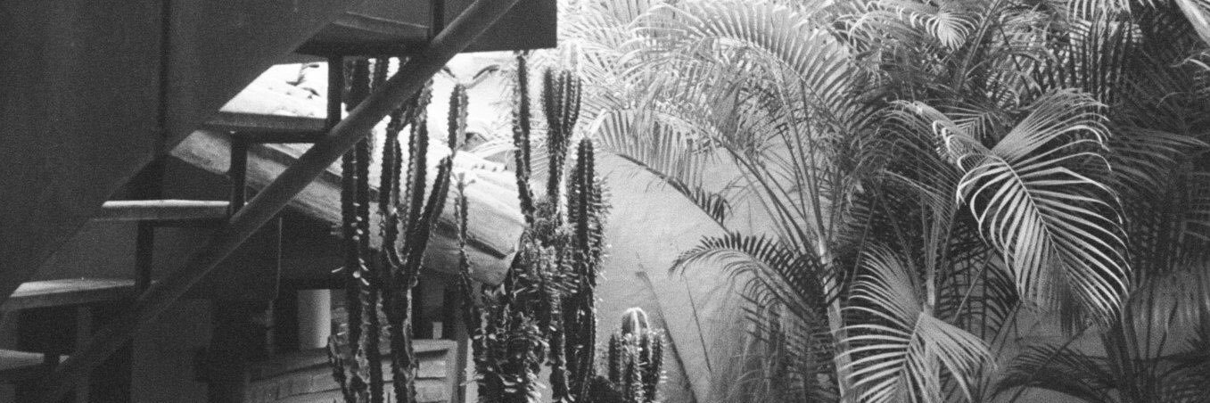 FernandoGodina's profile banner image