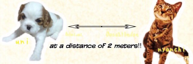 さちぶどう@2/22コスホリD25-26 banner