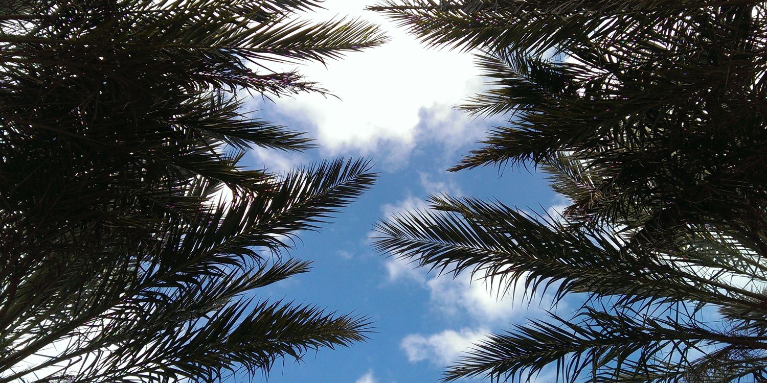 joe (@makeitunclear.bsky.social) banner