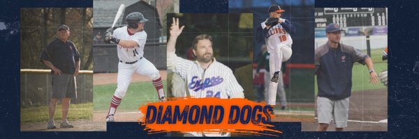 DiamondDogsBsbl Profile Banner
