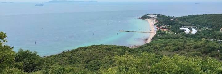 Rossko Bossko banner