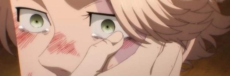 orcaphileE's profile banner image