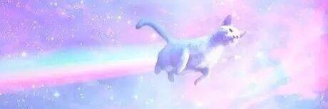 zrykk's profile banner image