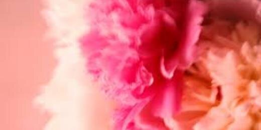 SisterAngela's profile banner image