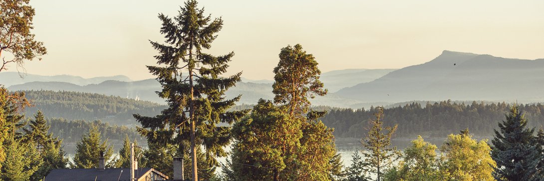 bodegaridge's profile banner image