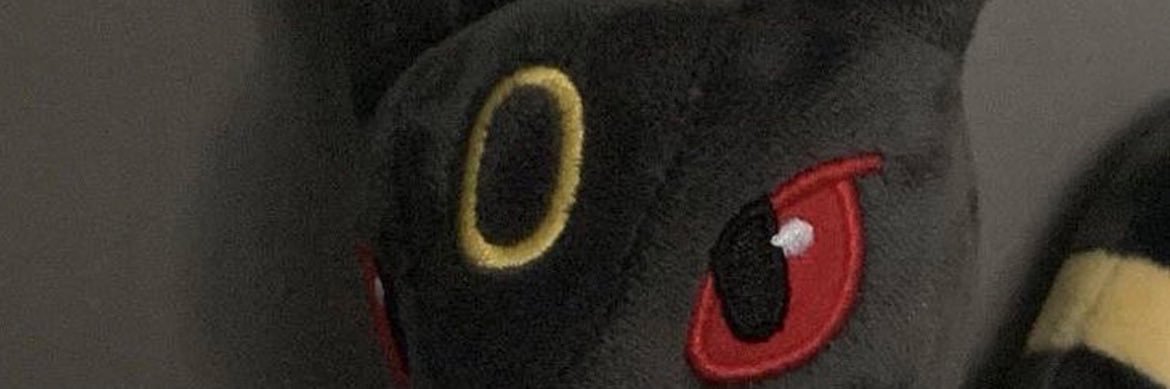 Pablo banner