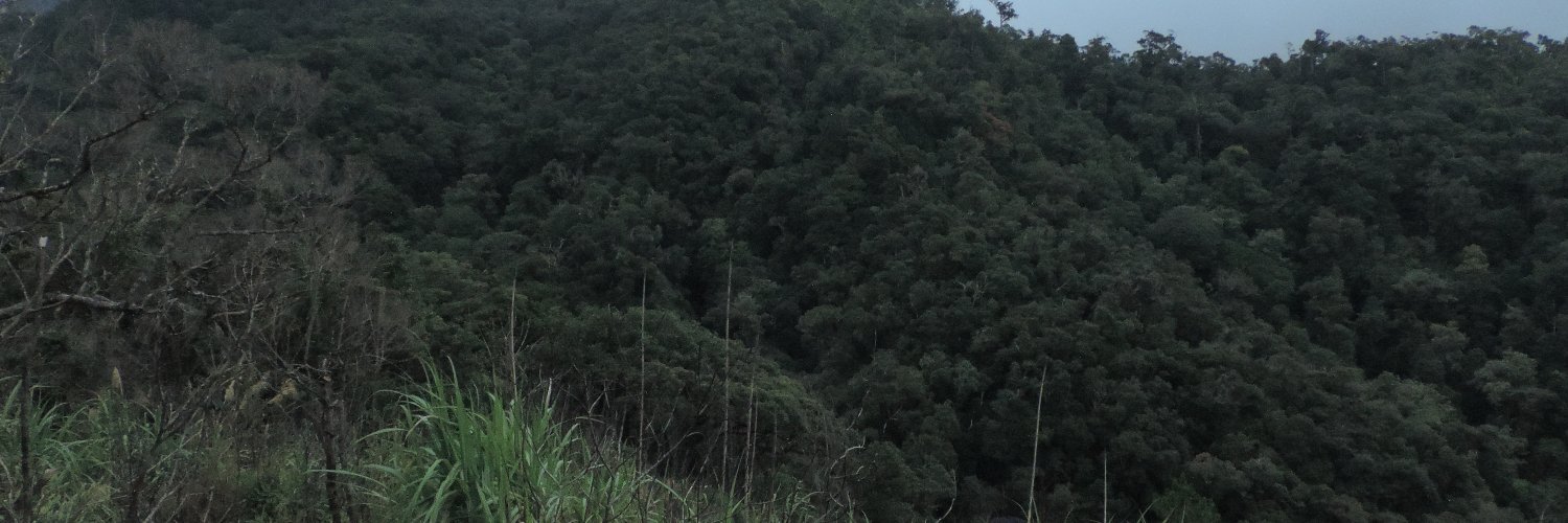 Rejes12's profile banner image