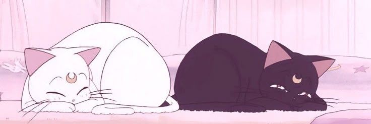abey .ᐟ banner