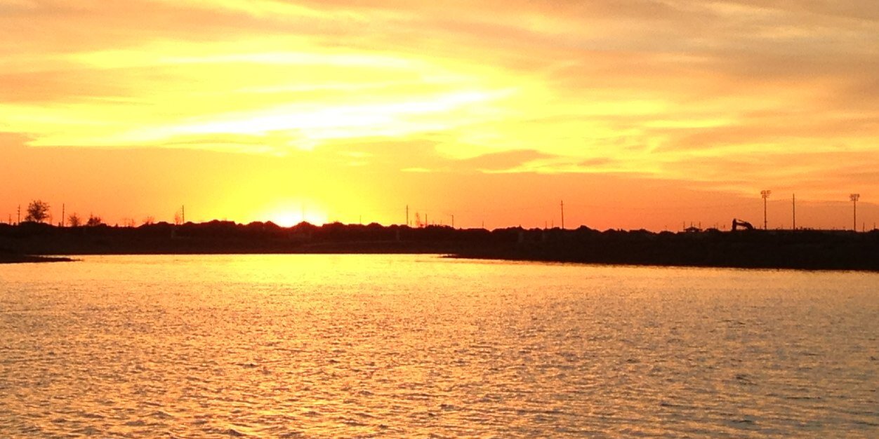 SarahSingleton's profile banner image