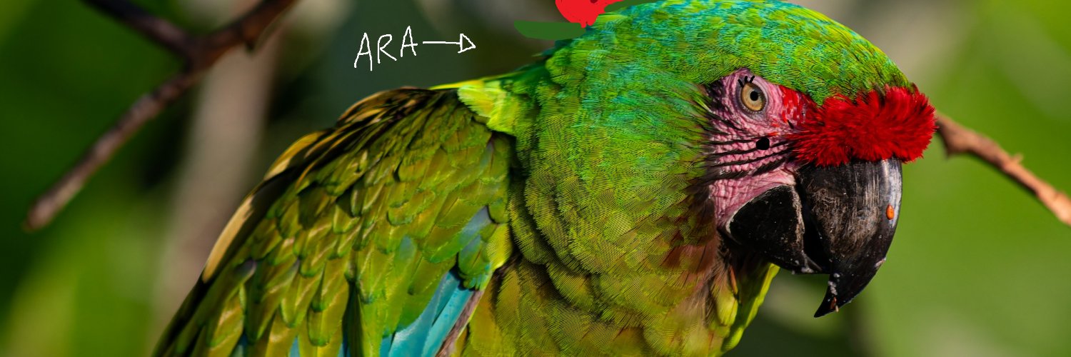 arastar_29's profile banner image
