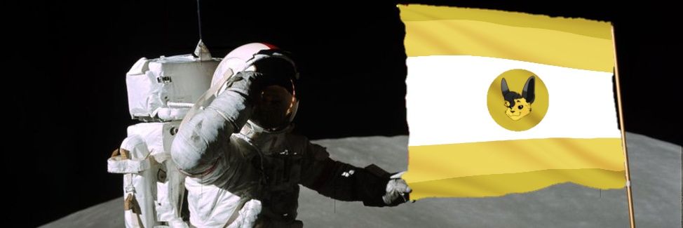 🇺🇲Leafeon🚀 banner