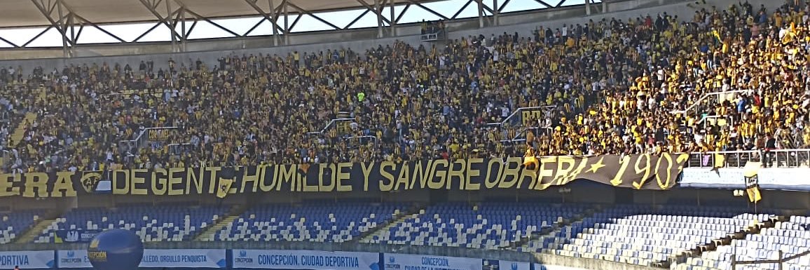 José Larson Riffo banner