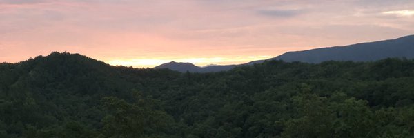 detroitwaves Profile Banner