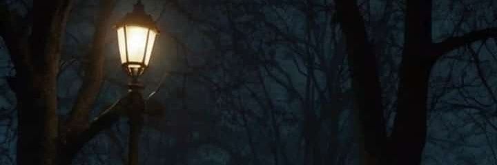 N.'s banner