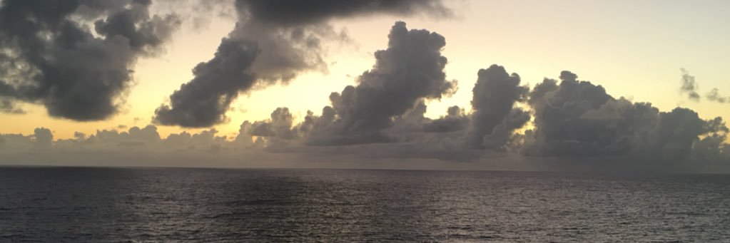 kenrick Ellis banner