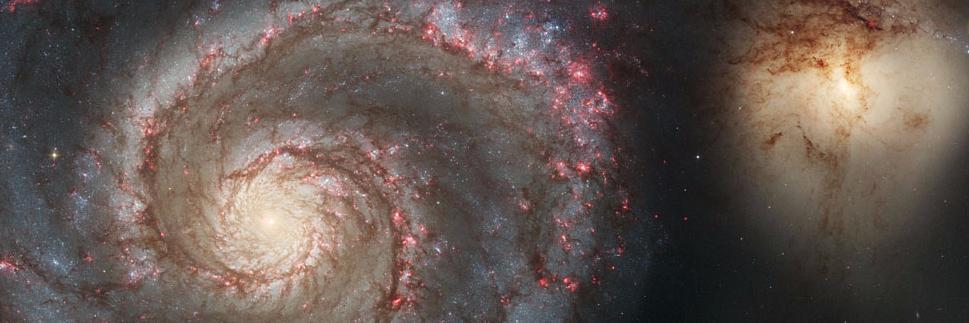 SecurityCatnip banner