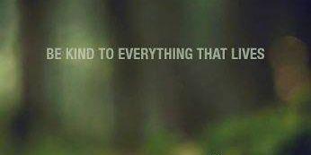 evalalapo's profile banner image