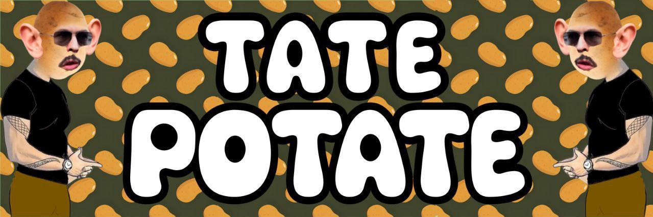potatecto's profile banner image