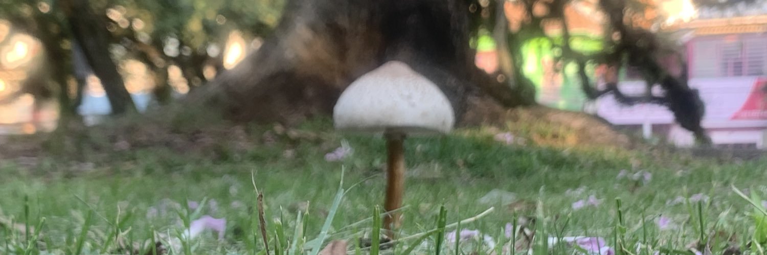 Mochiluis♤ banner