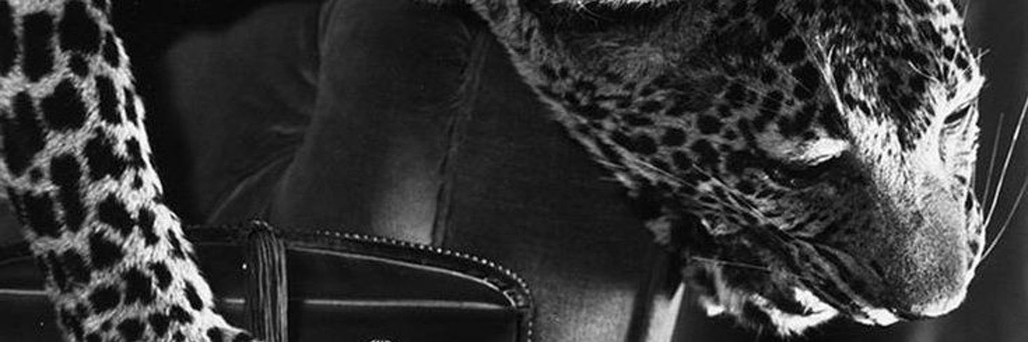 S.E banner