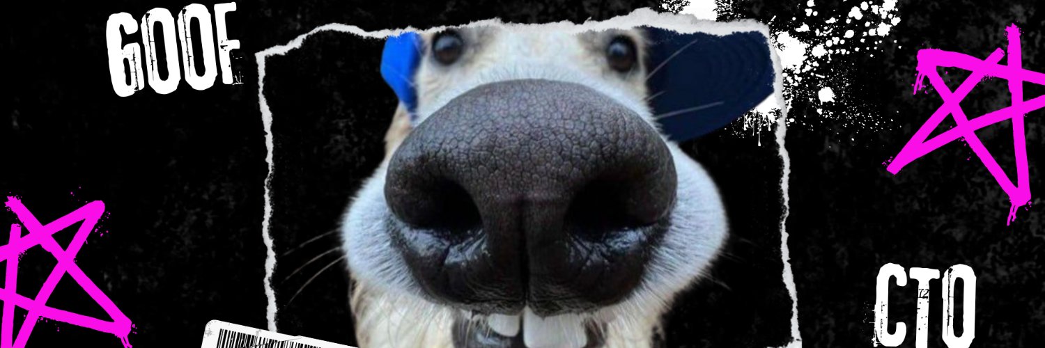 goofcto's profile banner image