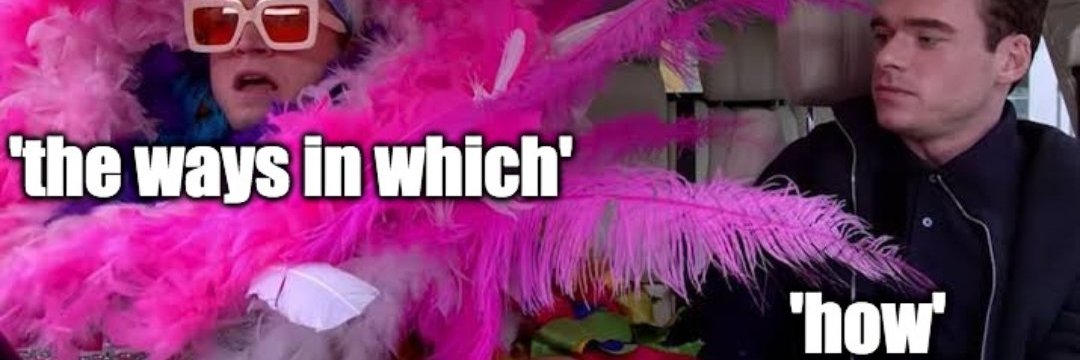 Dr. Alice Daer @daersay.saturation.social banner